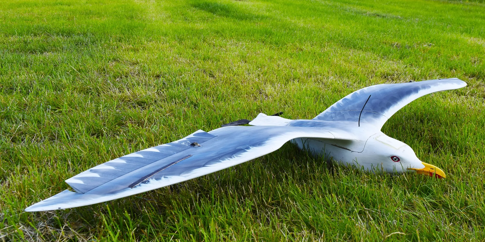 AVES Larus by Drone Bird Company