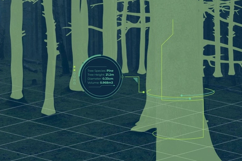 3D digital twin of the forest by Deep Forestry