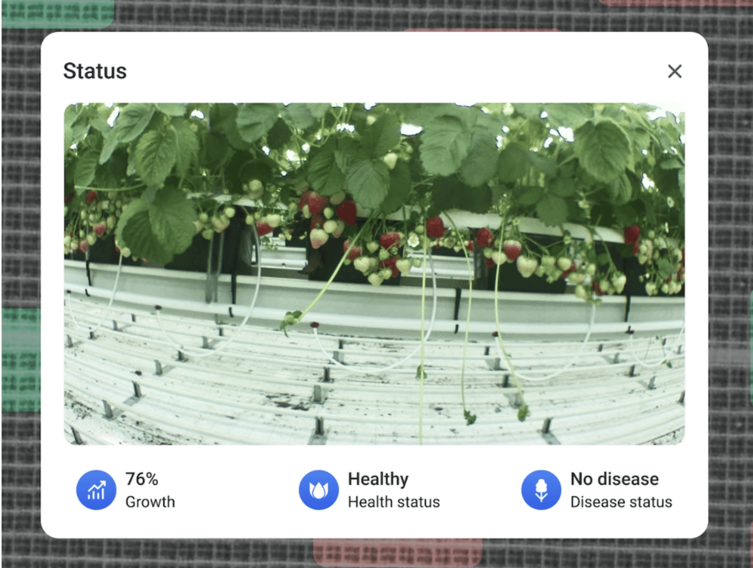 Hexafarms Platform Analyses Image to Detect Diseases