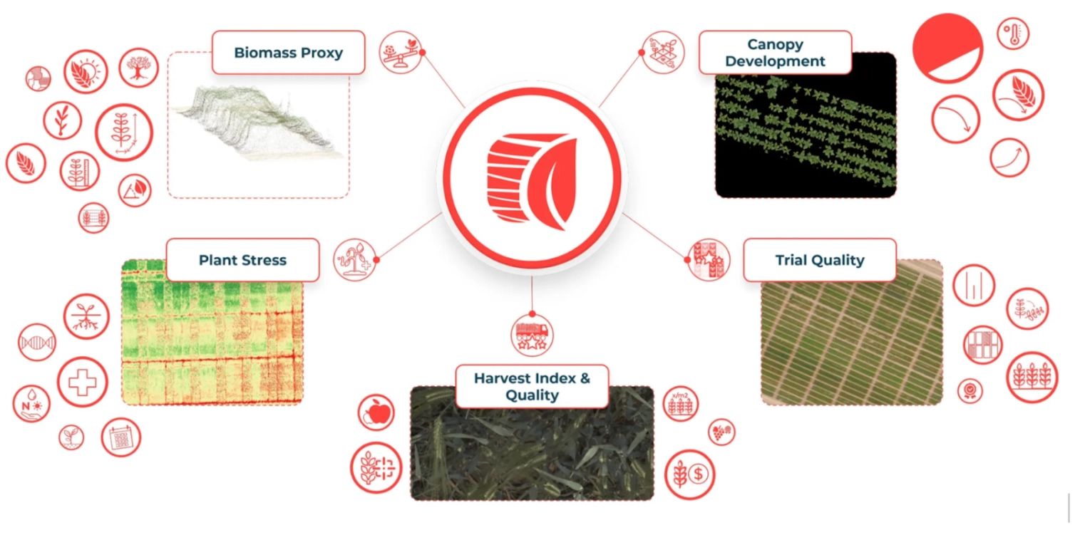 Hiphen Plant Phenotyping and Crop Image Analytics