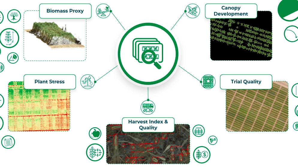 Hiphen Plant Phenotyping and Crop Image Analytics Solutions