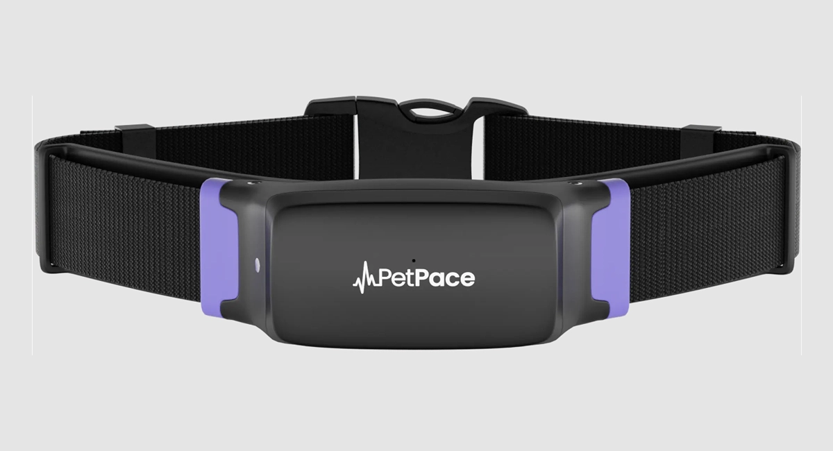 PetPace Smart Collar