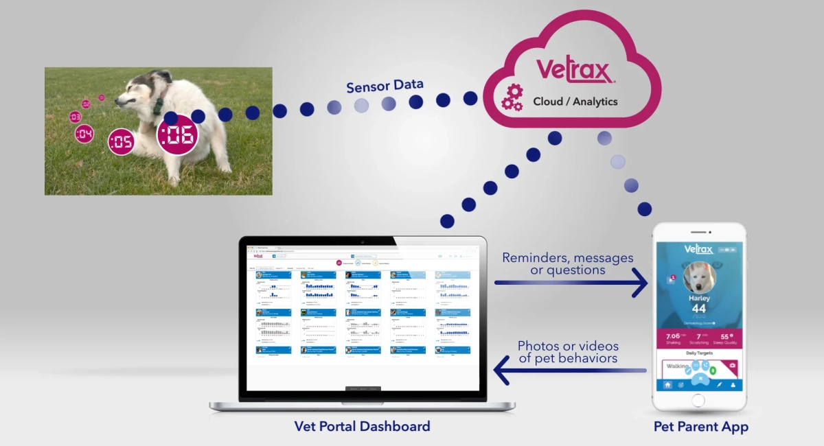 Vetrax Dataflow