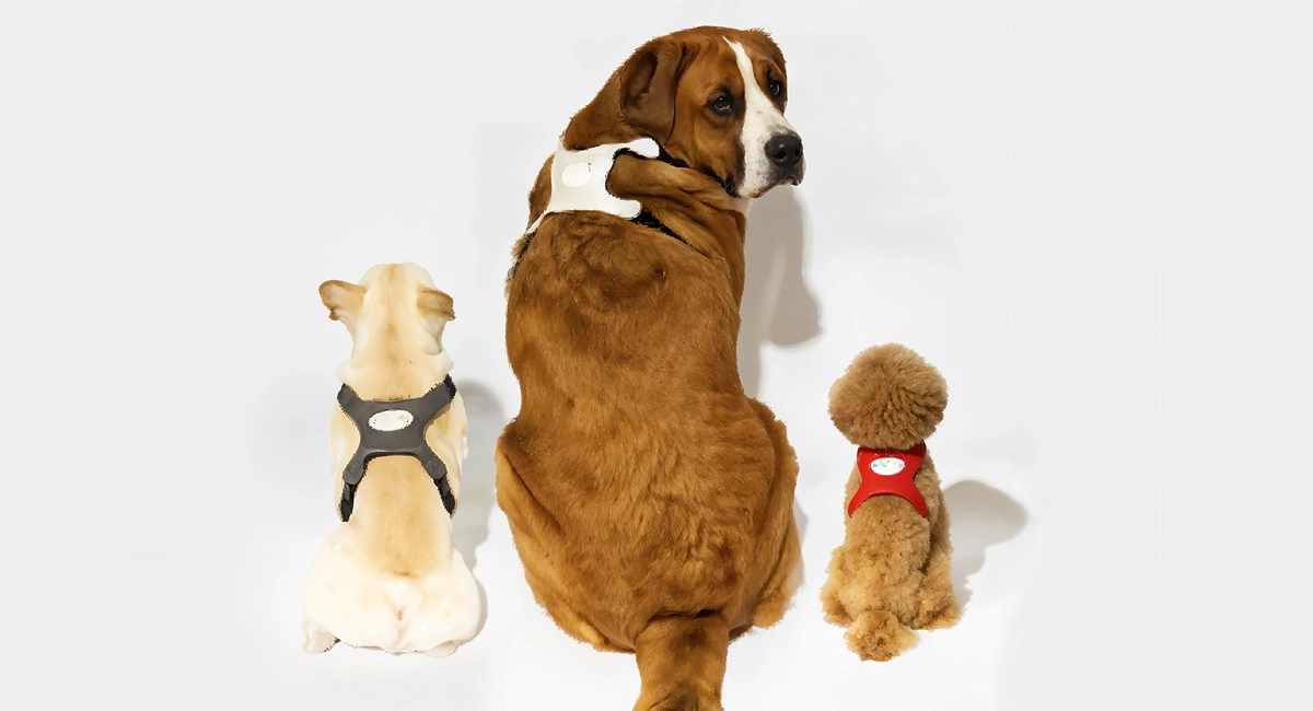 Inupathy Smart Harness