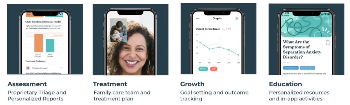 Little Otter's Functionality