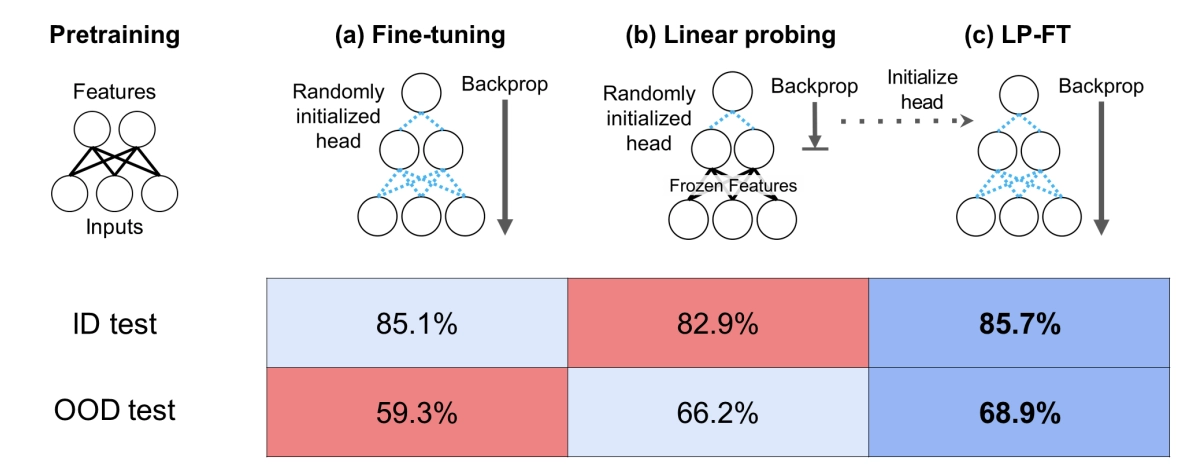 Average accuracies (10 distribution shifts)