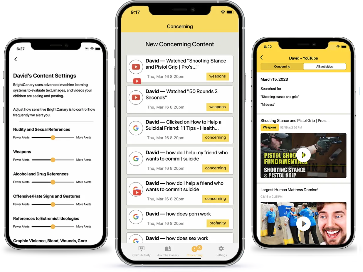 BrightCanary highlights concerning content